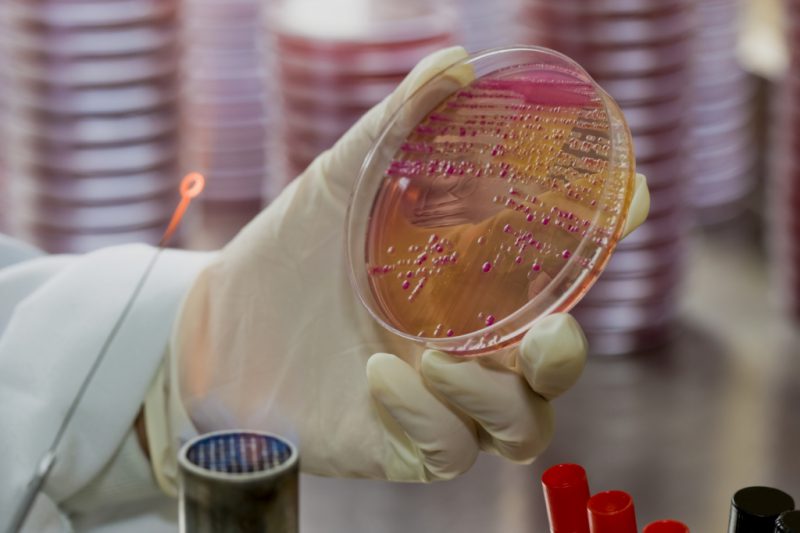 Бактериофаг клебсиелл поливалентный очищенный