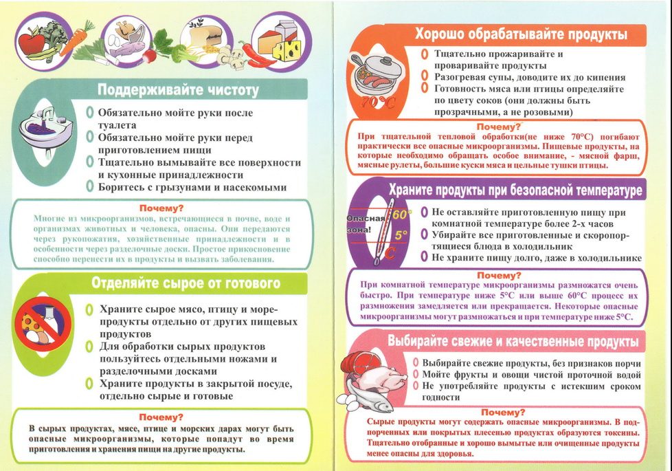 Сальмонелла Энтеритидис - опасность заболевания, симптомы и лечение