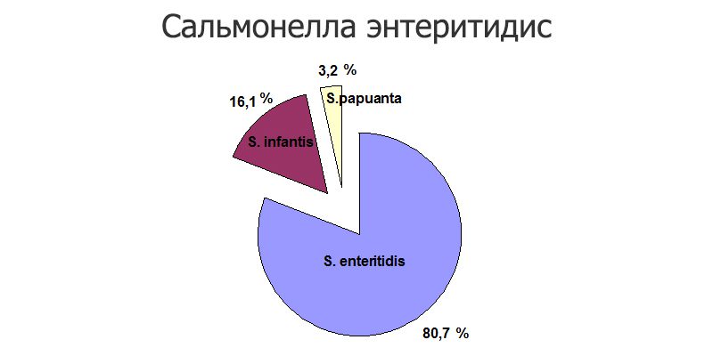 Сальмонелла энтеритидис