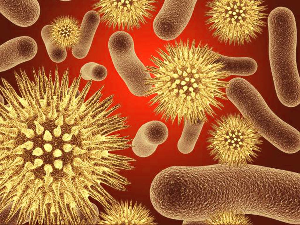 Уреаплазмоз: причины возникновения у женщин, симптомы и лечение