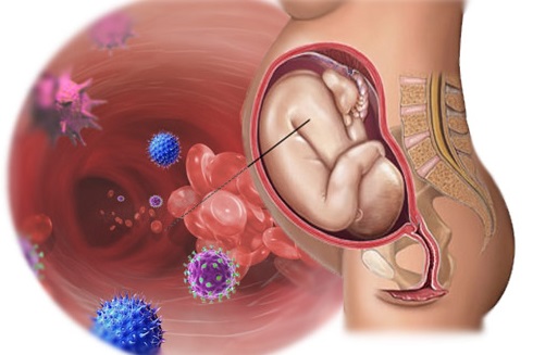 Стрептококк В: опасность при беременности