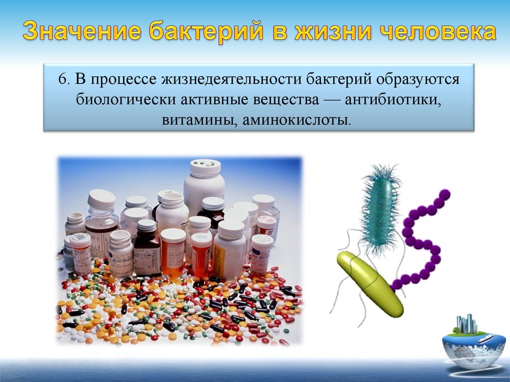 Кокковая флора в мазке у женщин и мужчин, коккобациллярная микрофлора в ...