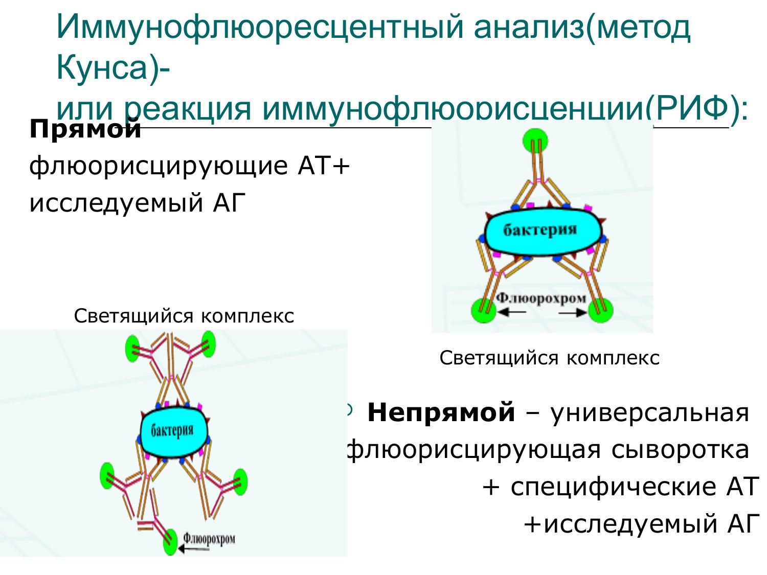 Реакция анализ. Реакция иммунофлюоресценции (риф) (метод Кунса). Реакция иммунофлюоресценции риф схема. Риф реакция иммунофлюоресценции. Реакция иммунофлюоресценции метод Кунса.