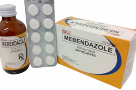 «Мебендазол»: инструкция по применению