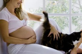 Токсоплазмоз при беременности: симптомы, диагностика и лечение