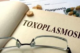 Как правильно сдавать анализ крови на токсоплазмоз