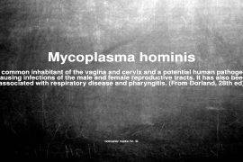 Причины mycoplasma hominis у женщин, симптомы и лечение